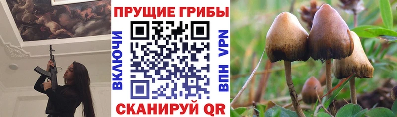 Псилоцибиновые грибы ЛСД Купить Ижевск